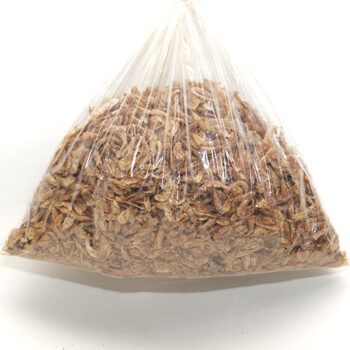crayfish Premium Dried Crayfish