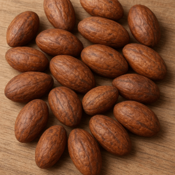 ChatGPT Image Nov 5, 2025, 12_39_01 AM Pure Bitter Kola